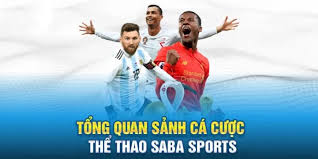 Tổng quan về sảnh thể thao saba