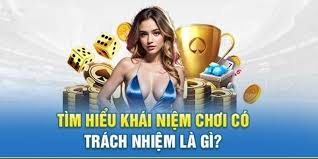 Chính sách chơi có trách nhiệm