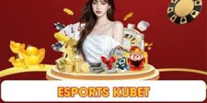 Giới thiệu về IM E-SPORTS