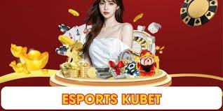 Giới thiệu về IM E-SPORTS