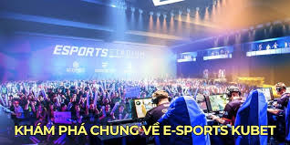 Giới Thiệu Tổng Quan Về DB E-SPORTS